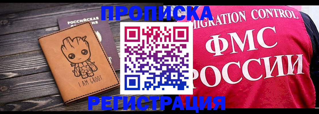 прописка 2025 в Звенигороде